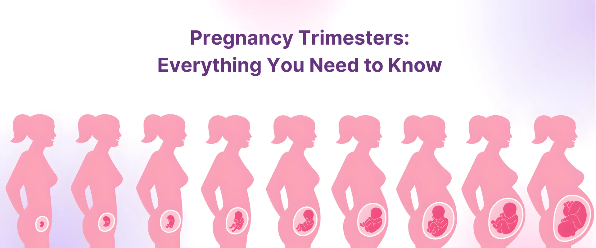  First 12 Weeks: What Every Newly Pregnant Woman in India Must
                Know